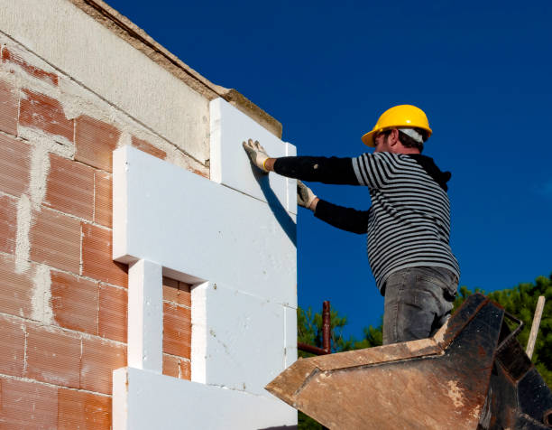 Best Attic Insulation Installation  in Westland, MI