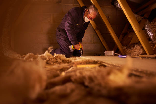 Best Attic Insulation Installation  in Westland, MI